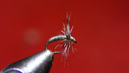 Davy Wotton Midge Dry/Emerger- Tied by TBird (photo by TBird)January 19th, 2013