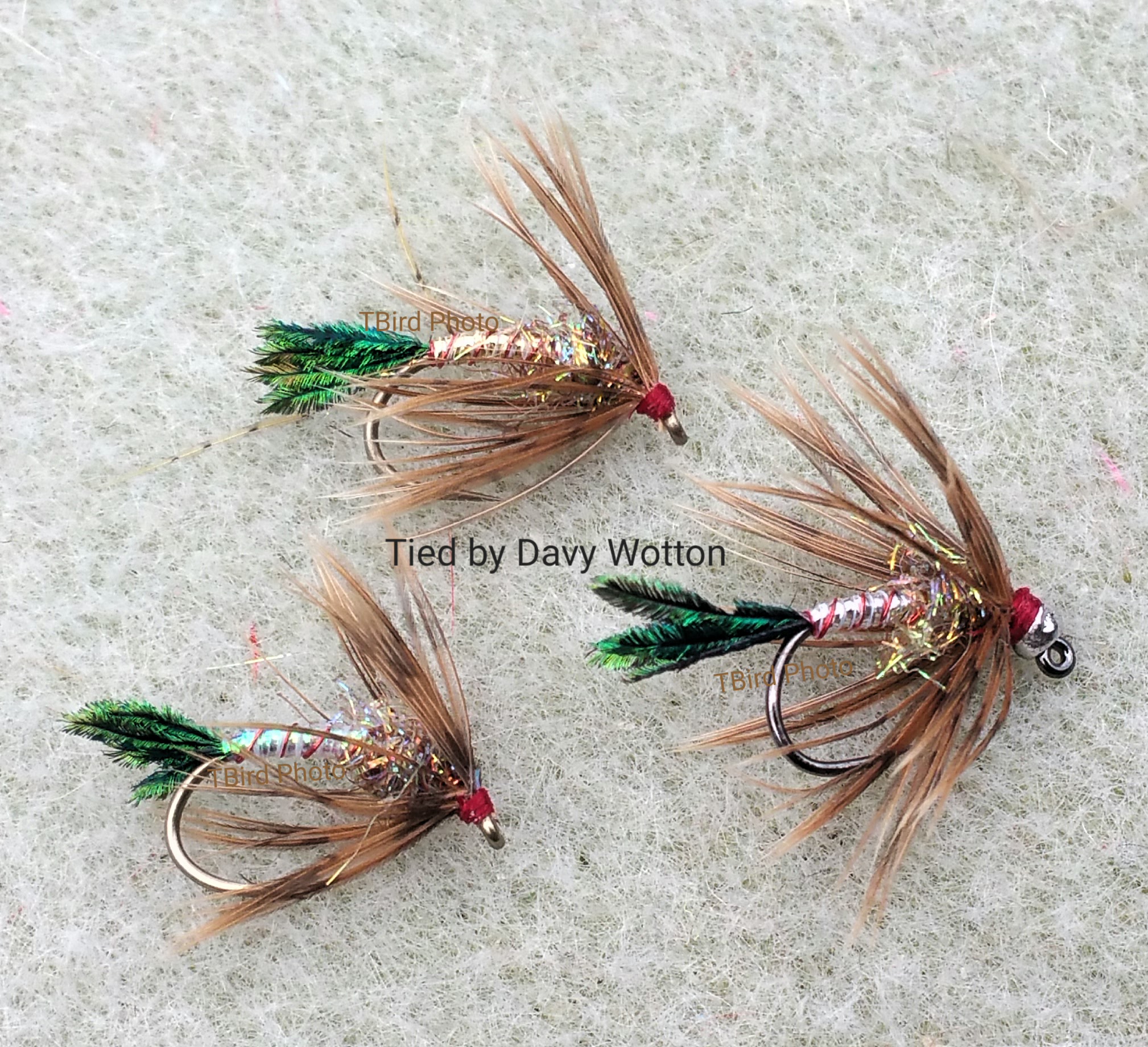 Davy's Fly of the Month  Davy and TBirds' Fly Fishing Journal